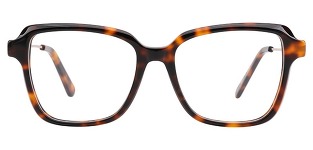 marija-in-tortoise
