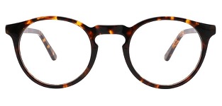 ashley-in-tortoise