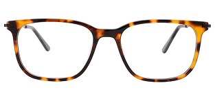 paddy-in-tortoise