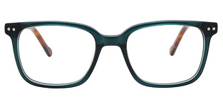 babs-in-green-with-tortoise