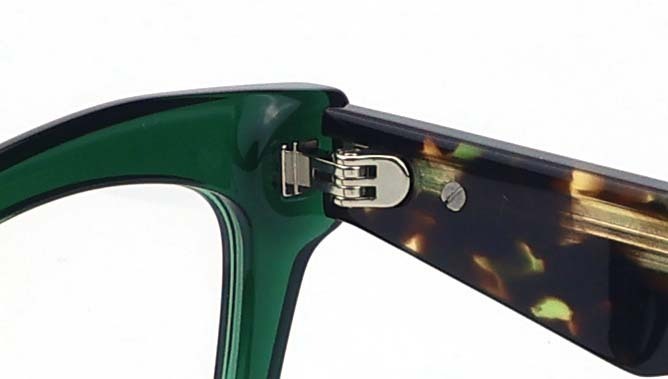 Zambezi in Green Tortoise View 3