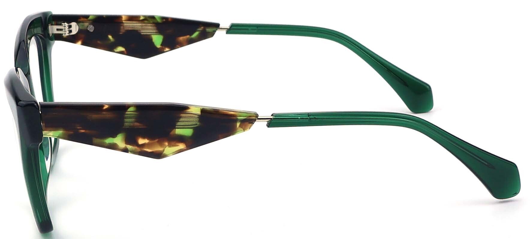 Zambezi in Green Tortoise View 4