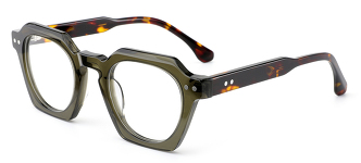 molopo-in-olive-tortoise